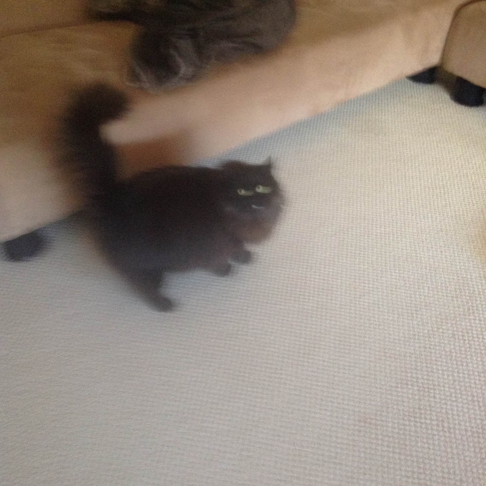 A picture of Simon.