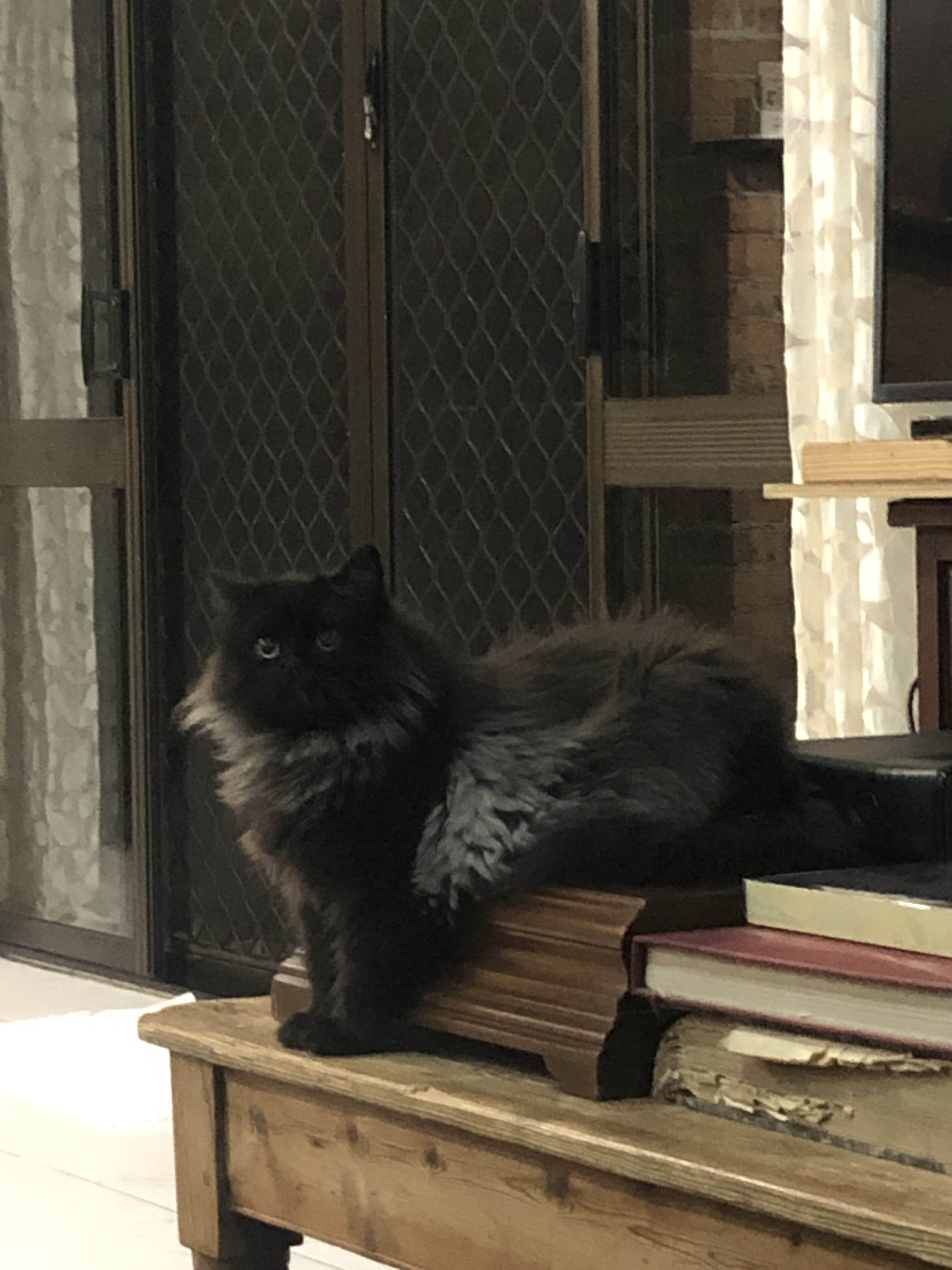 A picture of Simon.