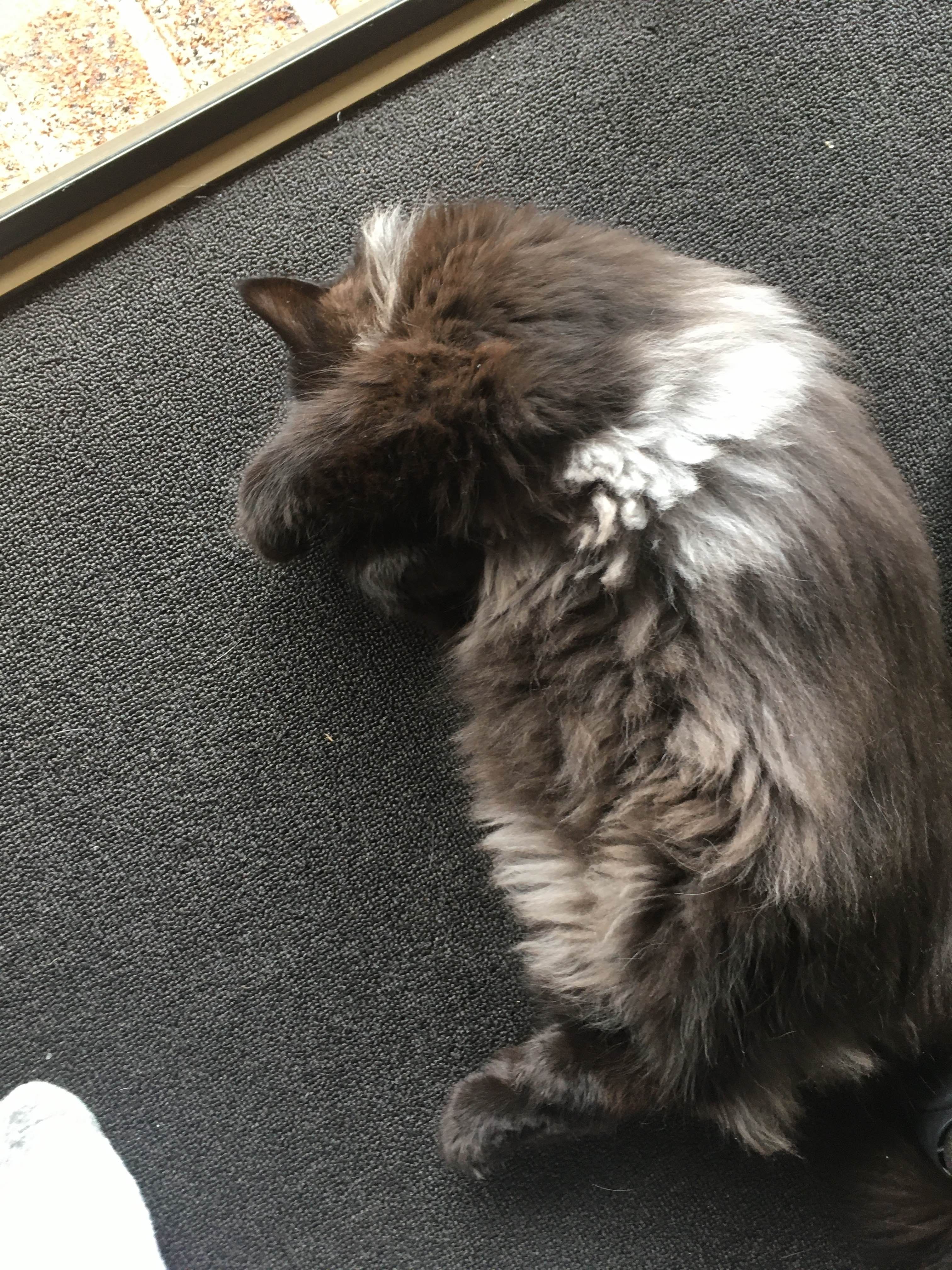 A picture of Simon.