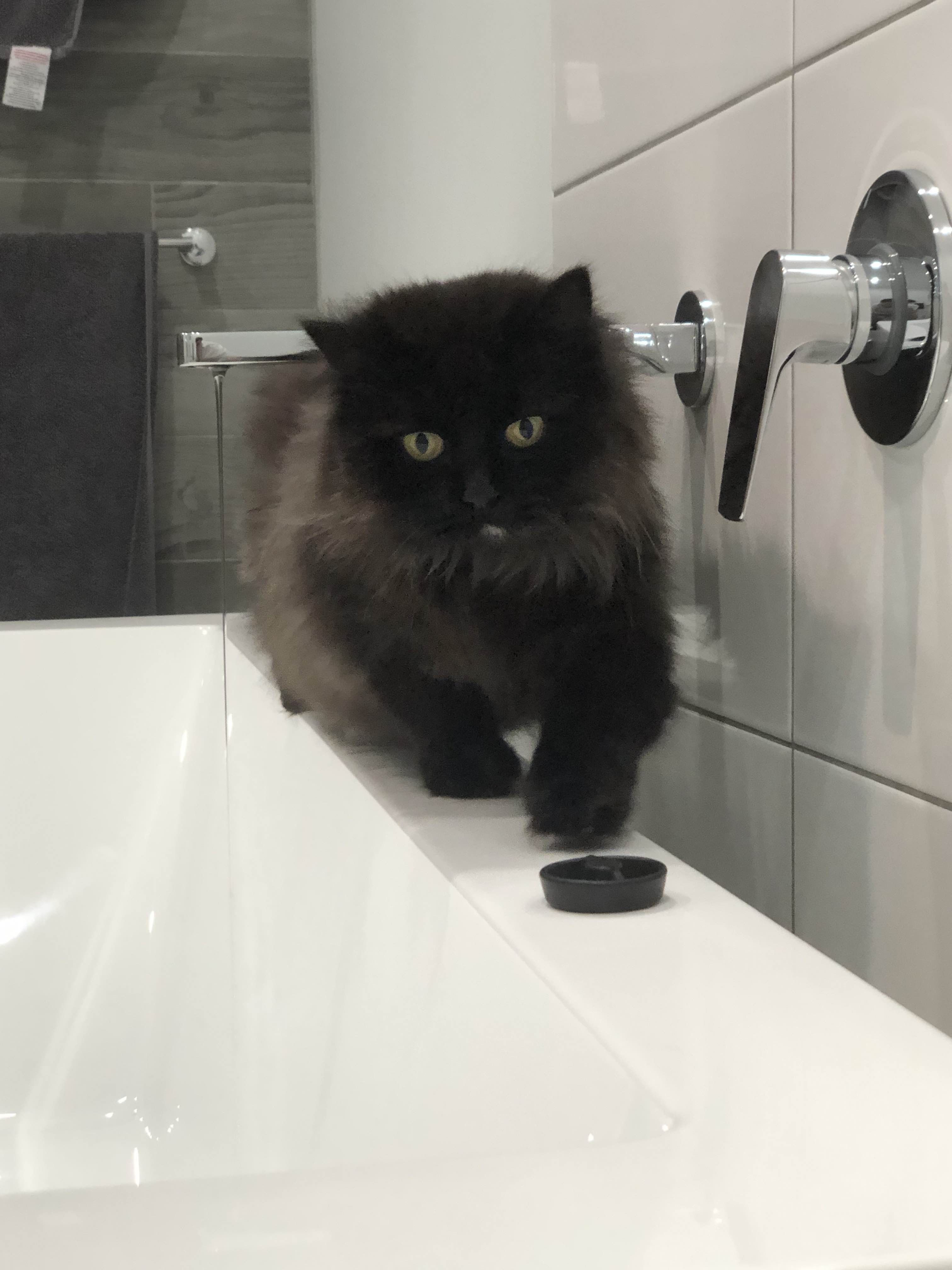A picture of Simon.